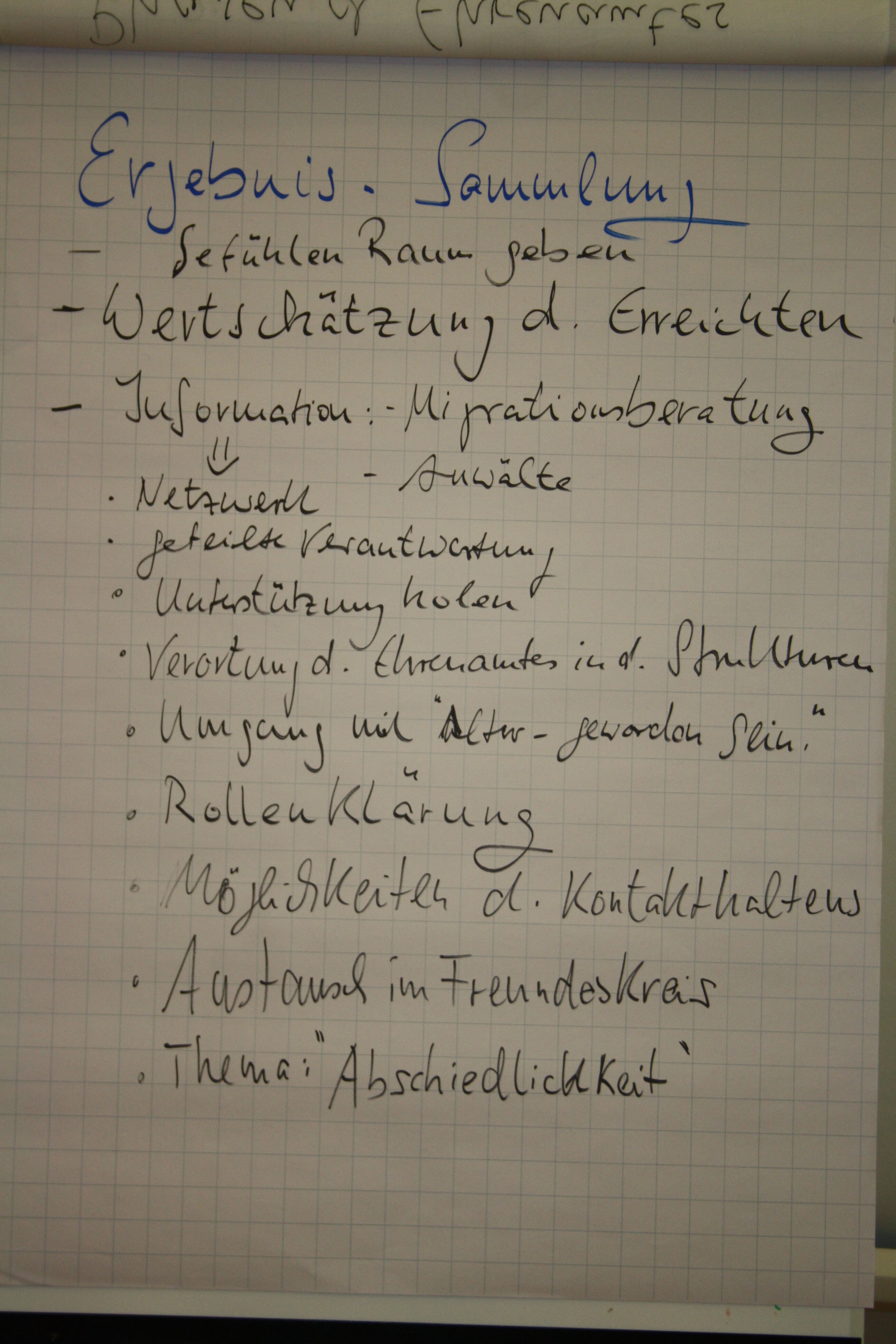 Abschiebung_LSW__5_
